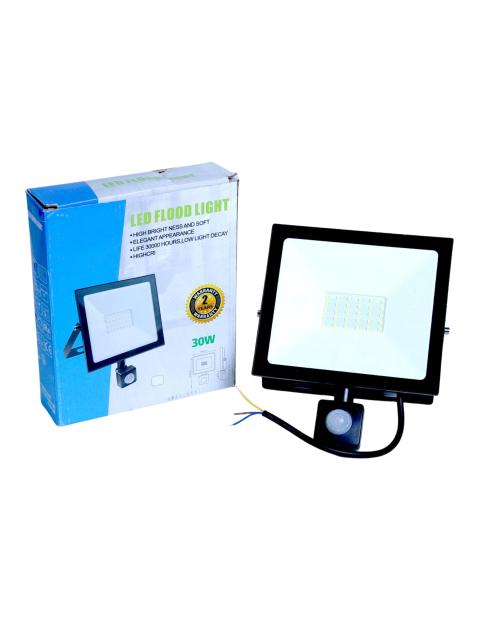 PROJEKTOR SENSOR 30W